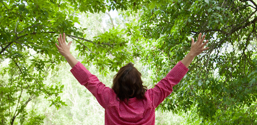 Re-START, Refresh, and Refocus on YOUR Goals!